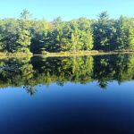 Lake Dubonnet State Forest Campground