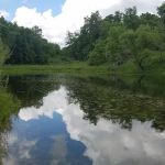 Cedar Valley Grove Campground