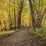 Wapsipinicon State Park Campground