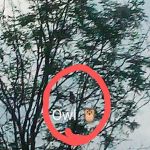 Morgan Creek Campground