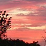 Shady Acres Campsites