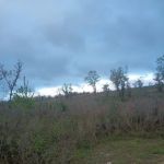 Walsingham Camp Site