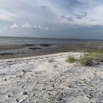 Gap Point Primitive Campsites