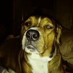 Bradford Motel & Campground