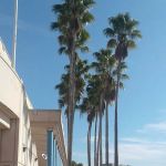 River Oaks RV Resort