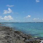 Indian Key Historic State Park