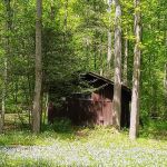 Cave Springs Campground