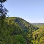 Cove View Campground