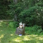 Cane Patch Campground