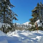 Cisco Grove Campground & RV