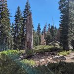 Silver Valley Campground