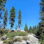 Stanislaus River Campground