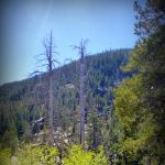 Hermit Valley Campground