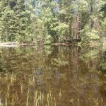 Big Meadow Campground