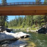 Calaveras Big Trees State Park Group Campground