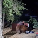 William Kent Campground