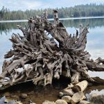 Sterling Lake Campground