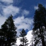 Herring Creek Campground