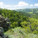 Eagles Aerie Backpack Camp