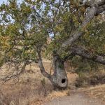 Cathedral Backpack Camp