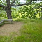 Oak View Backpack Camp