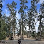 El Venado Campground