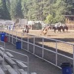 Taylorsville Campground