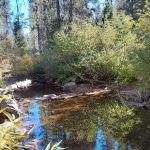 Salmon Creek Campground