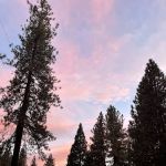 Sleepy Hollow RV Park