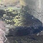 Old Fredonyer Campground