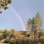 Pine Ridge RV Park and Storage