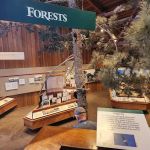 Bear Valley Visitor Center