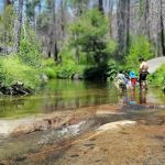 Rock Creek Campground
