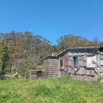 Timber Cove Boat Landing & Campground