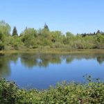 Horseshoe Road Recreation Area