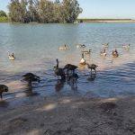 Hackberry Flat Campground