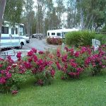 Midway RV Park