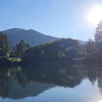 Pine Mountain Club Campground