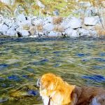 Kirch Flat Campground