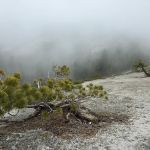 Clover Meadow Campground