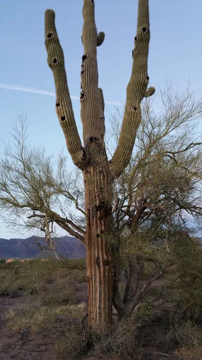 Canyon Vistas RV Resort 2
