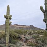 Buckhorn Family Campground