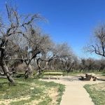 Coon Bluff Recreation Area