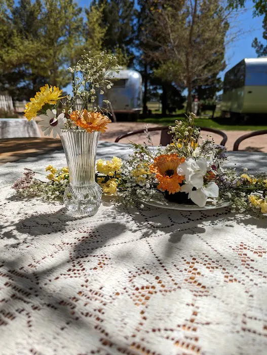 The Cozy Peach at Schnepf Farms 4