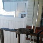 west mesa trailer park