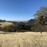 Upper Ballard Campground