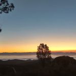 Williams Hill Campground