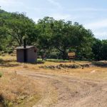 Horseshoe Springs Campground