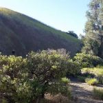 Nettle Springs Campground