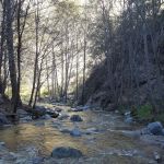 Goldhill Camping Area